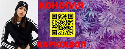 стаф Бузулук