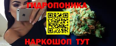 стаф Бузулук